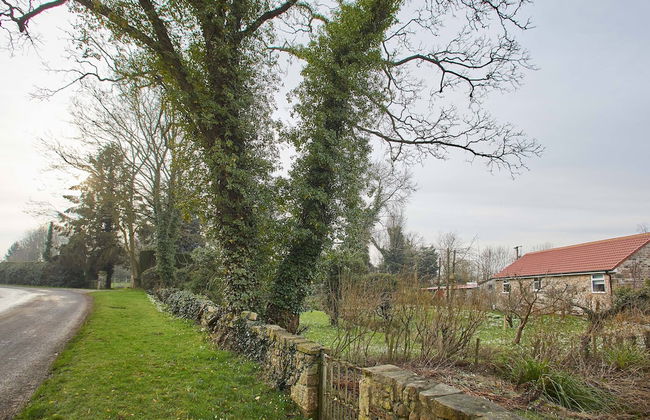 Snowdrop Cottage - Photo 20