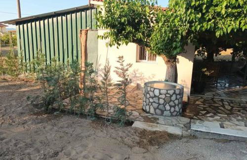 Ktima Rodies in Neochori Zacharo - Foto 27