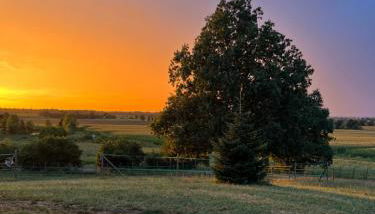 Agriturismo Villa San Lorenzo - Foto 5