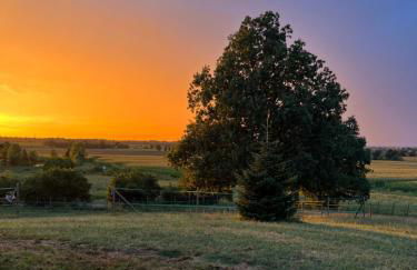 Agriturismo Villa San Lorenzo - Photo 5