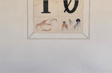 Villa des pins - Foto 43