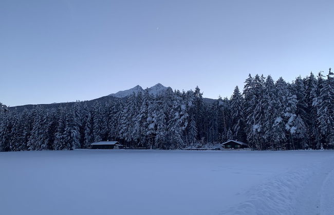 Waldchalet am Eichhof - Foto 25