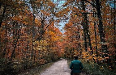 Domaine de la Chambaudière - Foto 43