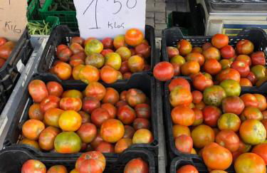 L' Azotea del Sol appartement typique - Foto 72