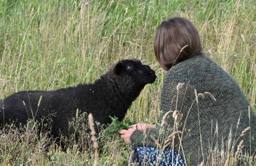Mecklenbü mit Teich, Kamin, Sauna und Hotpott - Foto 22