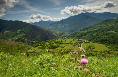 Casa Joana - Apartamento Lo Pamano - Foto 15