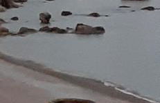 Taormina SeaSuite Fondaco Parrino - Foto 6