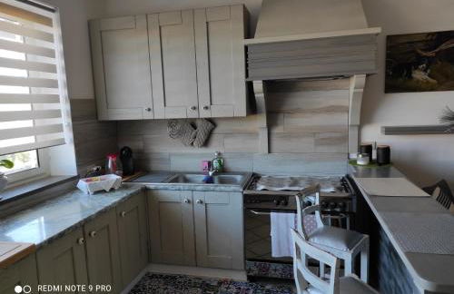 Cactus house - Foto 68