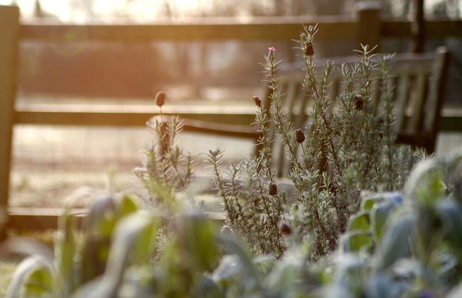 The Apartments Quidhampton Mill - Photo 21