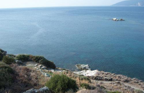 LikoremaView - Photo 43