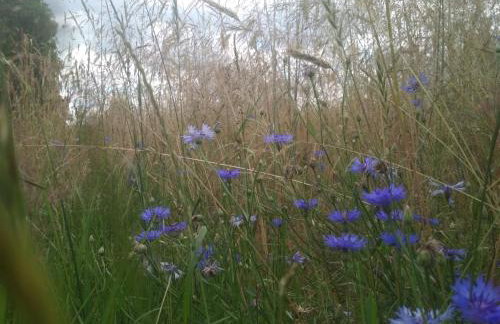 Domek Zofiówka dostęp na kod - Foto 35