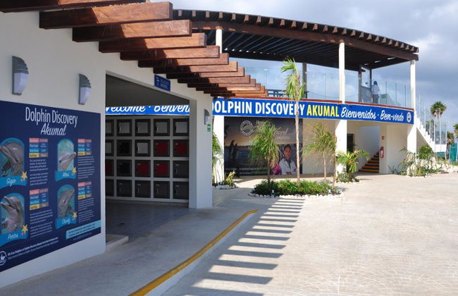 Delfin Royal Swim im Grand Sirenis Akumal-Tulum - Foto 1