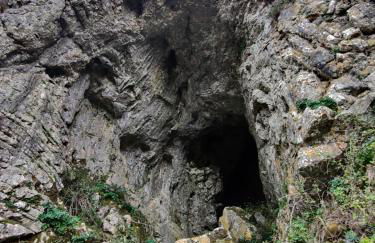 Retiro do Bosque Country House - Foto 86