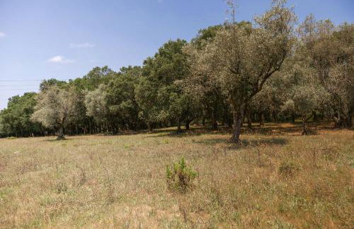 Pátio Serrano - Foto 63