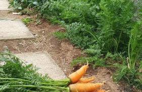 Villa Brava Atlântico - Foto 50