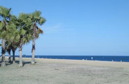 ASV Alojamiento - Photo 41