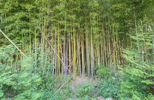 Bungalow Dream w Hot Tub, Fenced Yard & Fire Pit - Foto 65