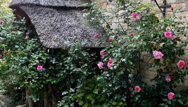 Thatched Cottage 2 Bed 2 Bath in Stour Provost near Shaftesbury and Longleat - Foto 2