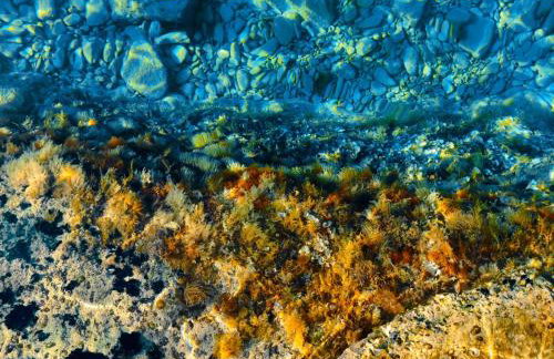 Villa Rosemary - Foto 34