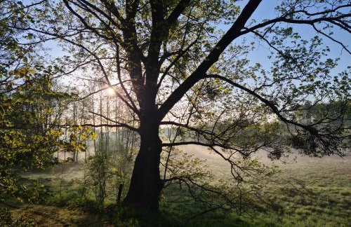 Siedlisko Dębinka - Foto 16