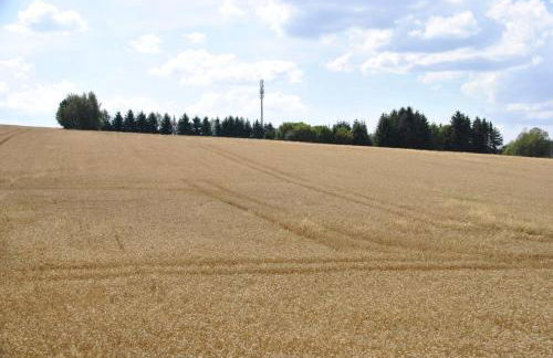 FeWo am Pochwerk-Badeteich - Foto 30