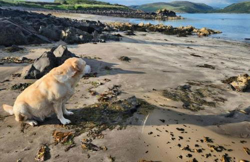 3 Bed in Kirkcolm oc-b34009 - Foto 42