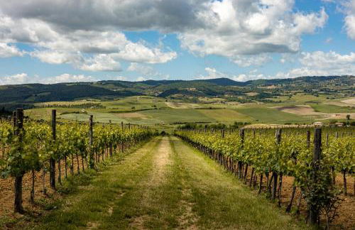 Sce Quiríc - Foto 32