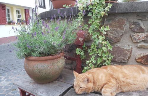 Charmanter Fachwerktraum an der Stadtmauer - Foto 42