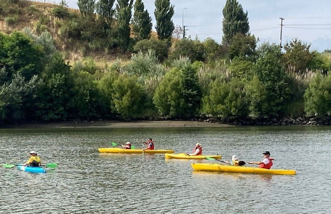 Whanganui River Top 10 Holiday Park - Foto 62