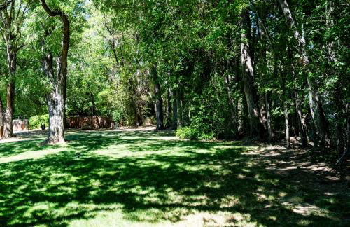 Truckee River Ranch - Foto 11