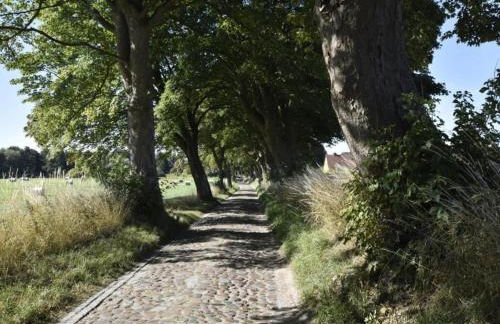 Wohnung nahe Ostsee Kühlungsborn - Foto 33