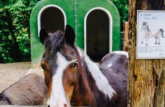 AGRITURISMO CA' FENILE - Foto 33