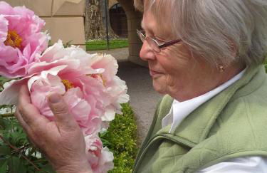 Ferienwohnung Schmilau - Foto 14