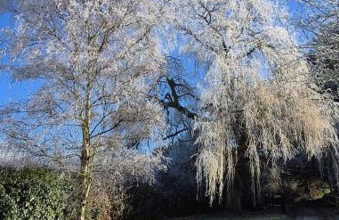 Secluded 16th Century Farmhouse with private grounds - Foto 33