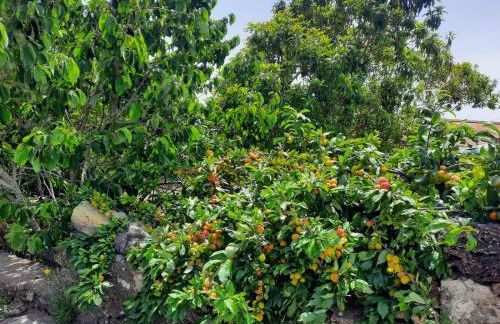 Casa Rural Amapola - Foto 7