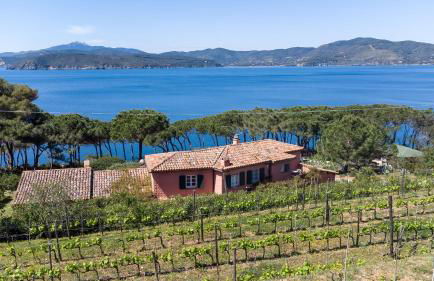 Villaflair - Villa Morcone with private beach - Foto 31