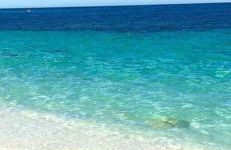 Windsurf Beach Front - Photo 17