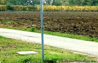 Residenza Gavioli Via Angelelli - Parco Navile - Photo 36