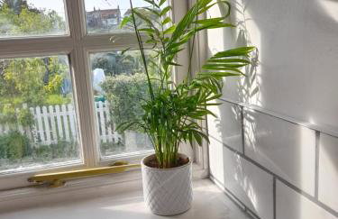 My Little Studio - Photo 28