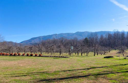 Orchard Hideaway by Jackson Mountain Rentals - Foto 47