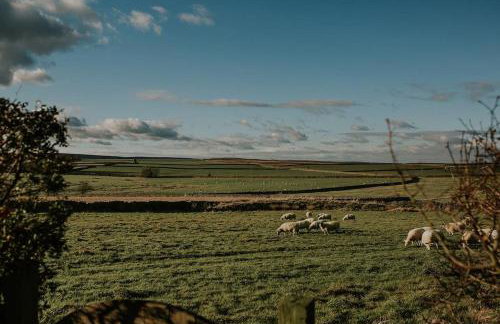 Cosy Cottage near Brimham Rocks Yorkshire Dales - Photo 30