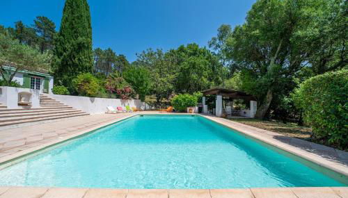 Villa Hokiss Piscine privée dans parc 1 hectare - Foto 4, Garden, sunbed, Garden view