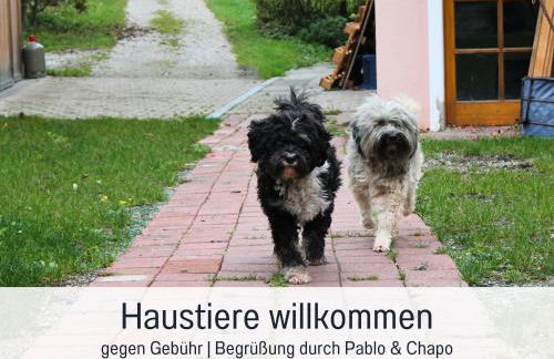 SEEZEIT Ferienwohnung an der Zinnmanufaktur - Foto 20