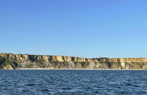 La chaumière - Foto 23