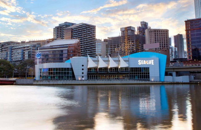 Entrada a SEA LIFE® Melbourne - Foto 6