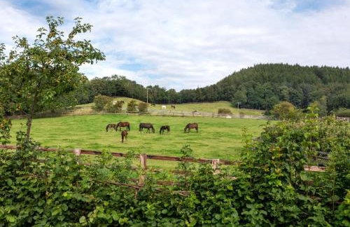 West Acre Lodge - Foto 22