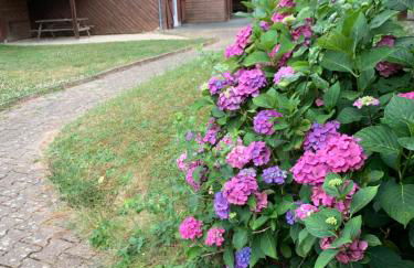 Chalets Moulière Evasion - Foto 31