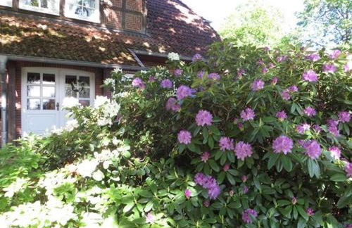 Ferienwohnung Margret und Kord Hedder - Foto 1