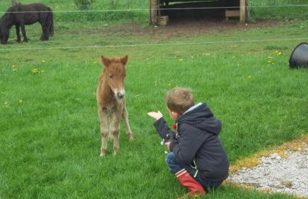 Gite Du Colombier - Foto 34