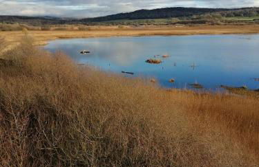 Field Edge Barn - Photo 14